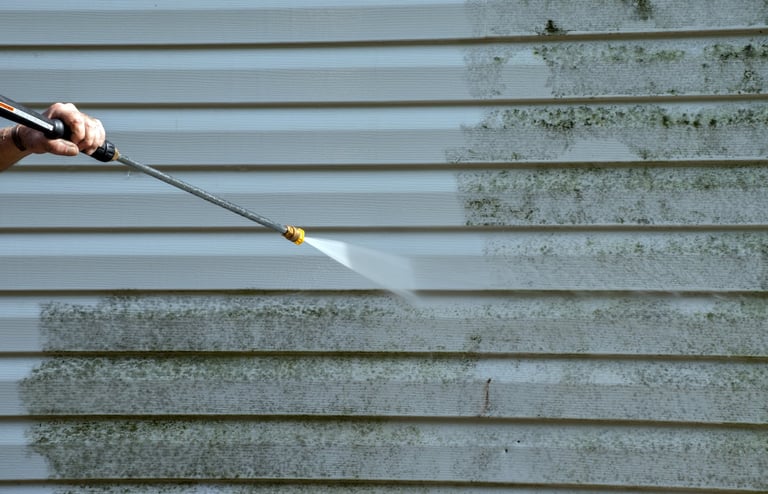 Professional window and siding cleaning