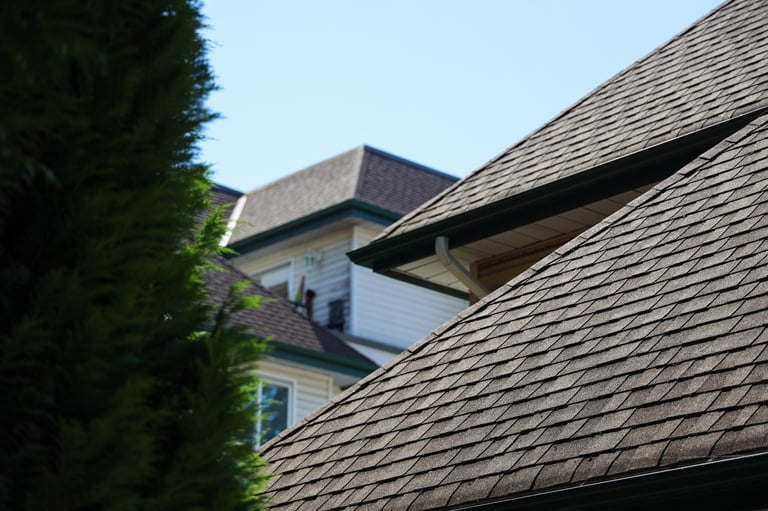 House roof with tree next to it